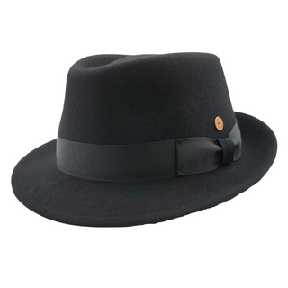 Mayser Troy Stingy Fedora