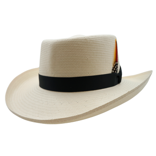 CAPAS SHANTUNG GAMBLER